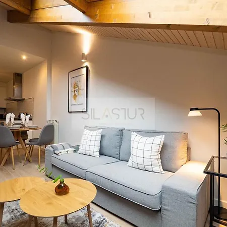 Camara By Silastur * Aviles